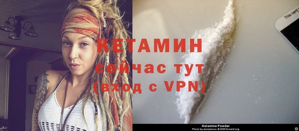 эйфоретик Гусь-Хрустальный