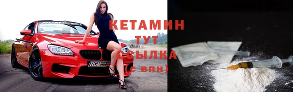 трава Гусиноозёрск