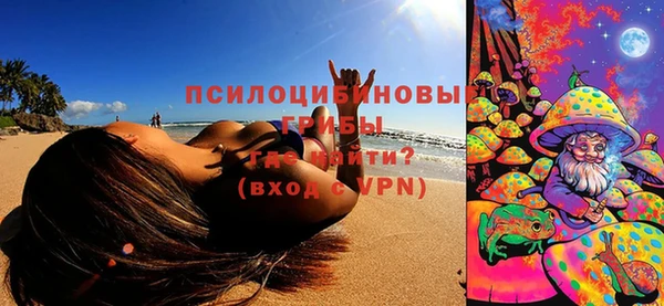 прущая мука Гусев