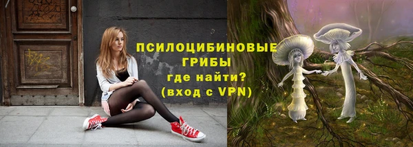 трава Гусиноозёрск