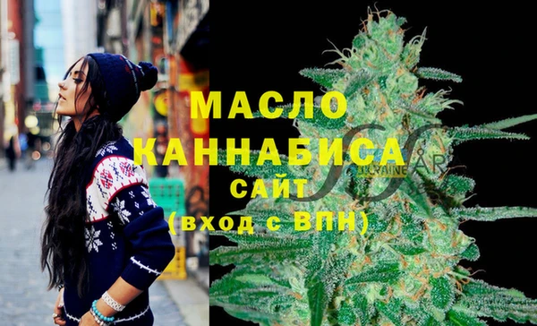 эйфоретик Гусь-Хрустальный