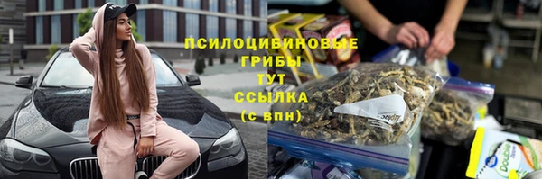 прущая мука Гусев