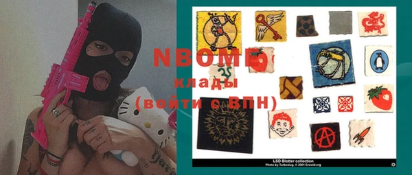 трава Гусиноозёрск