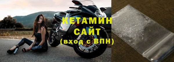 трава Гусиноозёрск