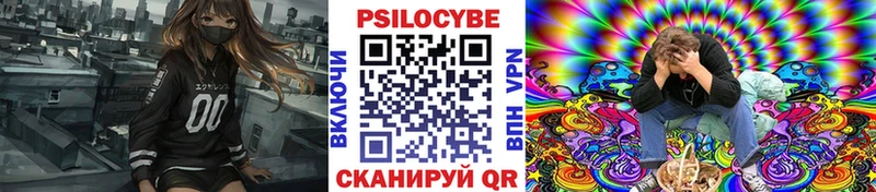 Купить где Нестеров Галлюциногенные грибы Magic Shrooms