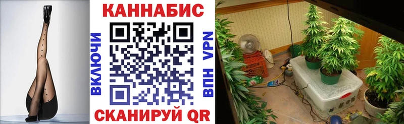 МАРИХУАНА ГИДРОПОН Купить Нестеров